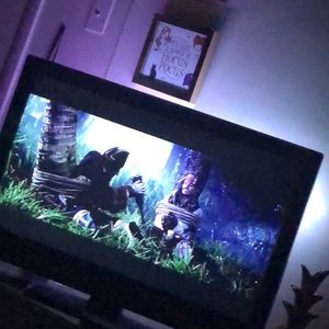 Meet your Posher, Hayden